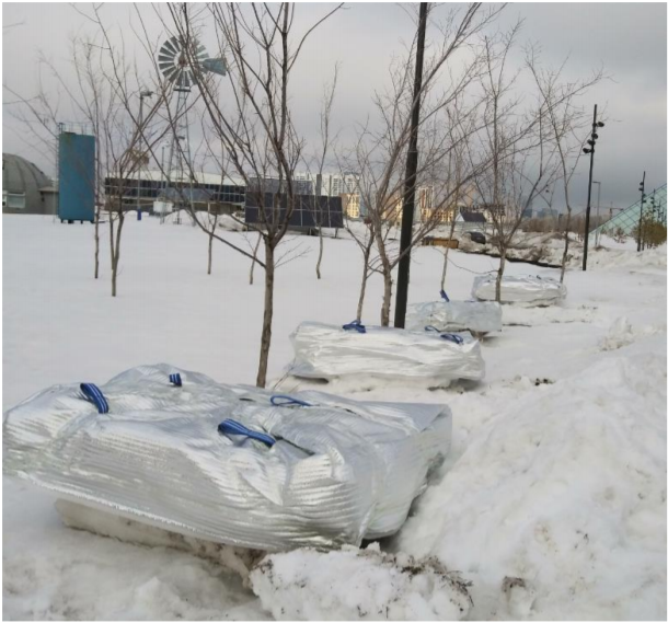 The process of laying ice blocks along an alley with trees